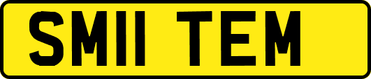 SM11TEM