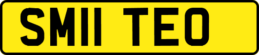 SM11TEO