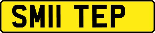 SM11TEP