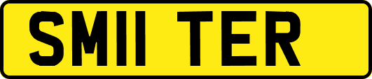 SM11TER