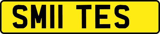 SM11TES