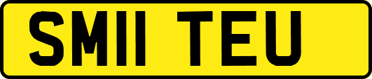 SM11TEU