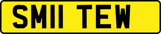 SM11TEW