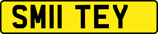 SM11TEY