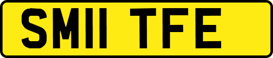SM11TFE