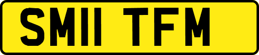 SM11TFM