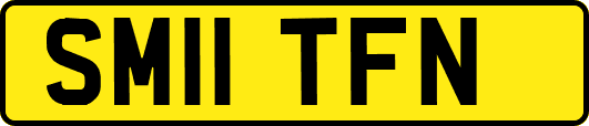 SM11TFN