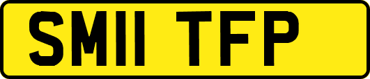 SM11TFP