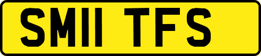 SM11TFS