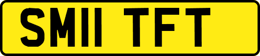 SM11TFT