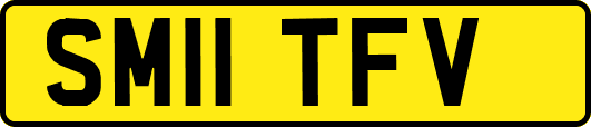 SM11TFV