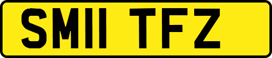 SM11TFZ