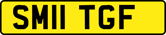 SM11TGF