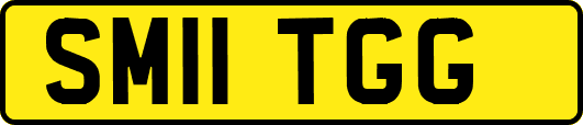 SM11TGG