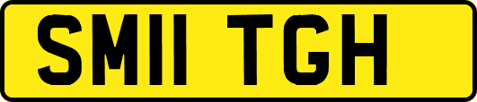 SM11TGH