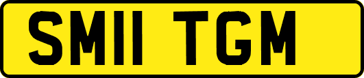 SM11TGM