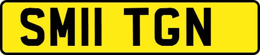 SM11TGN