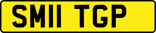 SM11TGP