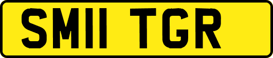 SM11TGR