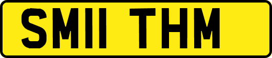 SM11THM