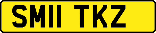SM11TKZ