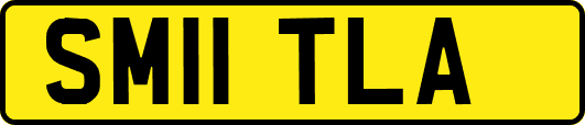 SM11TLA