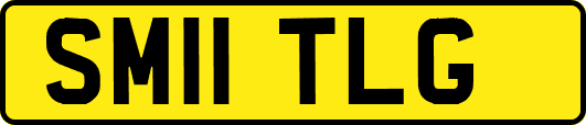SM11TLG