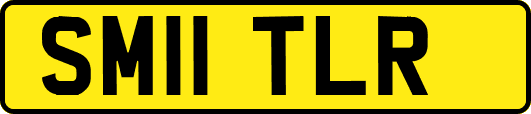 SM11TLR