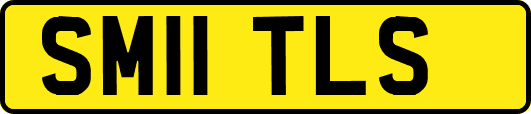 SM11TLS
