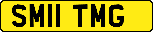 SM11TMG