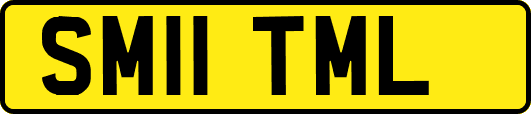 SM11TML