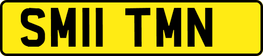 SM11TMN