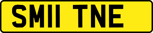 SM11TNE