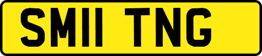 SM11TNG
