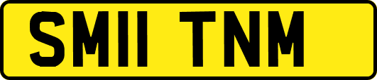 SM11TNM