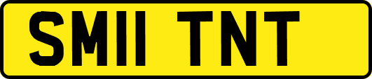 SM11TNT