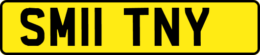 SM11TNY