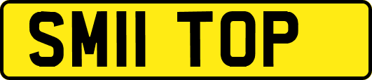 SM11TOP