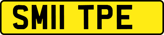 SM11TPE