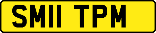 SM11TPM