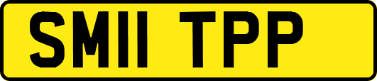 SM11TPP