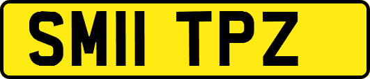 SM11TPZ