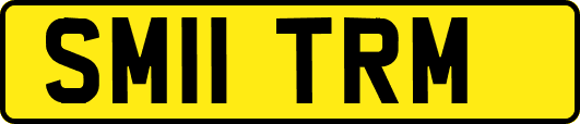 SM11TRM