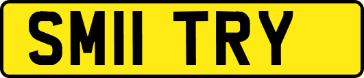 SM11TRY