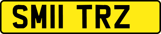 SM11TRZ