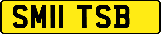 SM11TSB