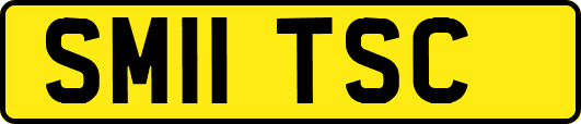 SM11TSC