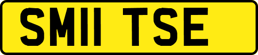 SM11TSE