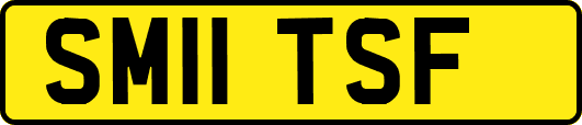 SM11TSF