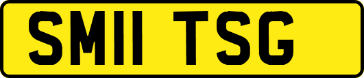 SM11TSG